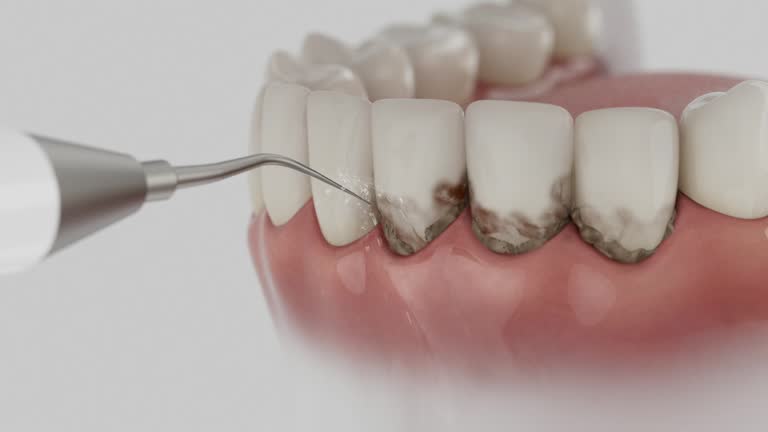 Reliable Dental contractor in North Dakota, ND by Dentist Open Now